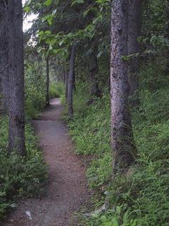 (picture: trail around byers lake)