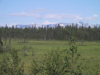 (picture: mount mckinley in the background)