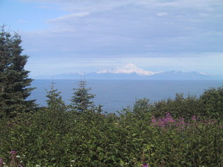 (picture: cook inlet (kenai))