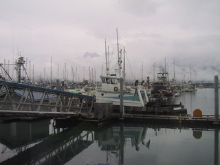 (picture: seward harbor)