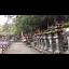 The garden of Kasuga Taisha Shrine,
